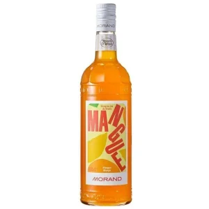 Sirop Mangue Morand  100 CL