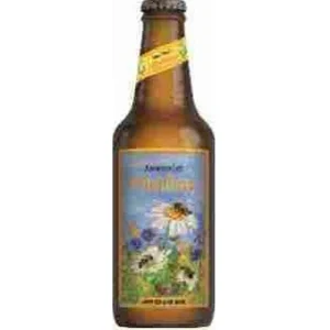 Appenzeller Mielfiore 6-Pack Biere de Miel SC  33 CL