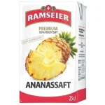 Ramseier Premium Ananas Briquettes  25 CL