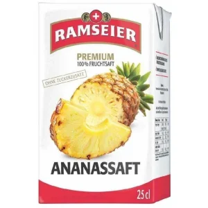 Ramseier Premium Ananas Briquettes  25 CL