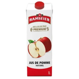 Ramseier Briques  100 CL