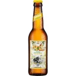 Appenzeller Ginger Beer 6-Pack 2.4°  33 CL