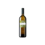 Paien Martigny Valais AOC Gérald Besse  75 CL  Millésime 2017